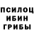 Галлюциногенные грибы мухоморы Frain Legend