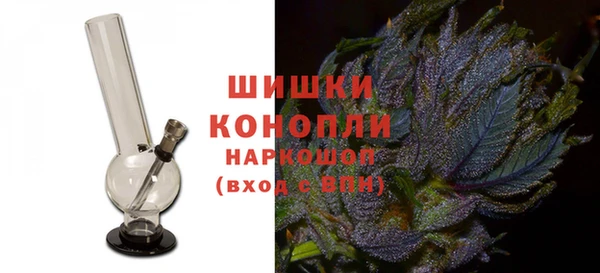 сатива Каменка