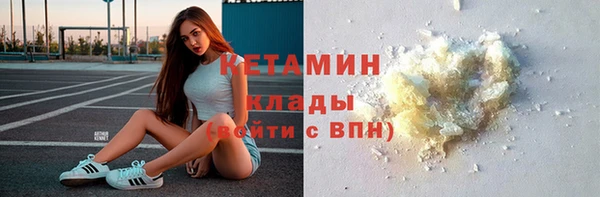 сатива Каменка