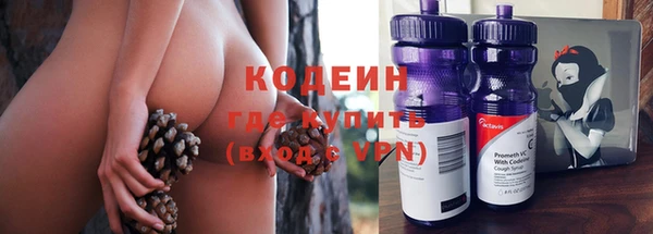 сатива Каменка