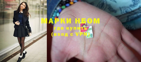 сатива Каменка