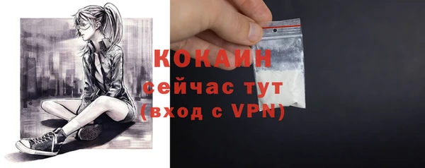 сатива Каменка