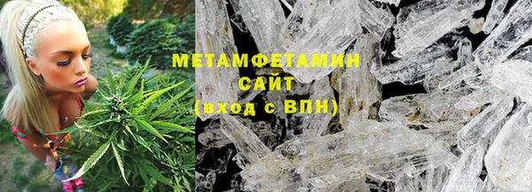 сатива Каменка