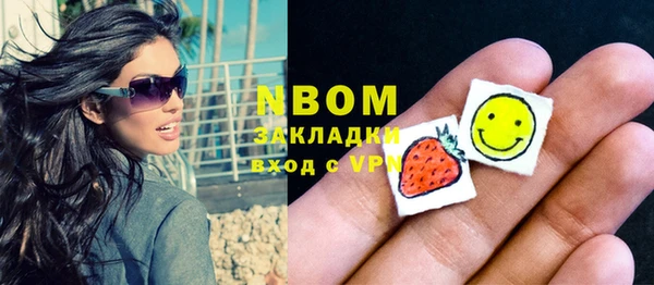 сатива Каменка