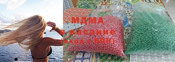 сатива Каменка