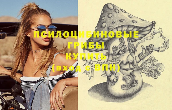стаф Кадников