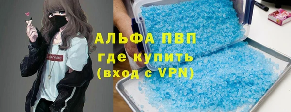 сатива Каменка