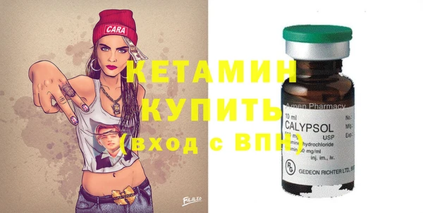 сатива Каменка