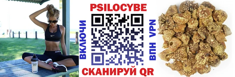 МЕГА зеркало  Истра  Псилоцибиновые грибы мицелий  где можно купить  