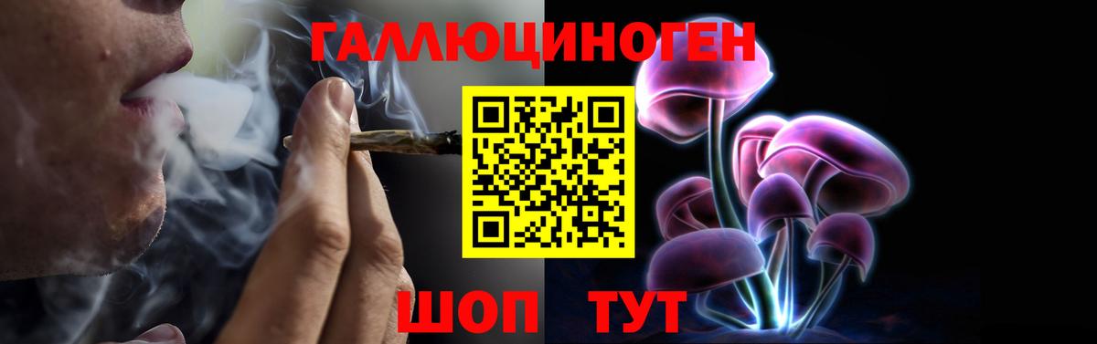 Псилоцибиновые грибы прущие грибы Истра